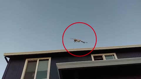 22.Top 1 spook u wont believe