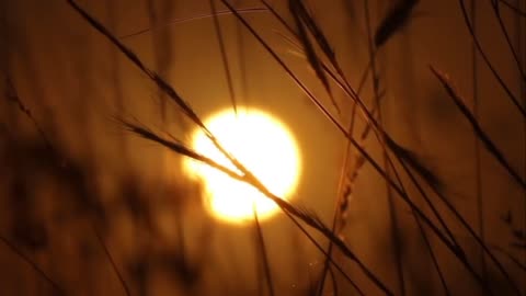 The music beats for you. Music for studying and relaxing with a beautiful sunset view