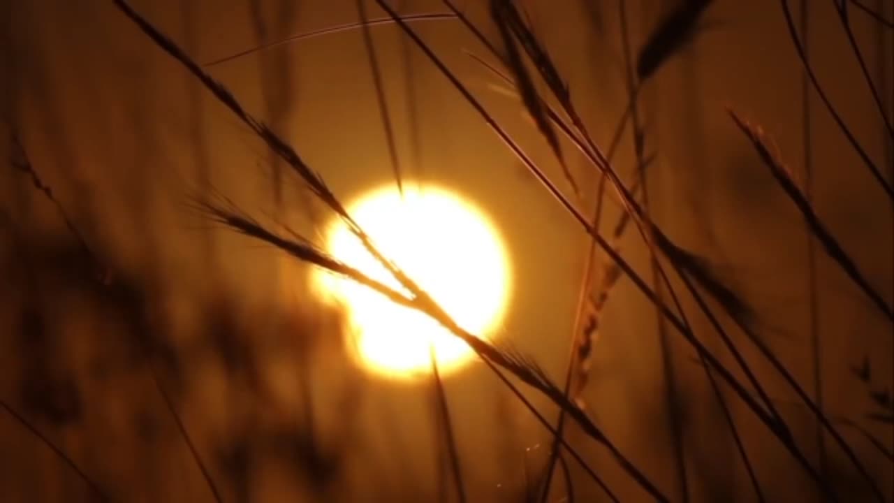 The music beats for you. Music for studying and relaxing with a beautiful sunset view