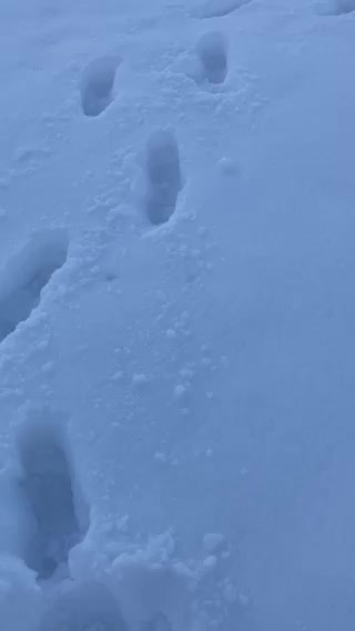 Beauty of an evening