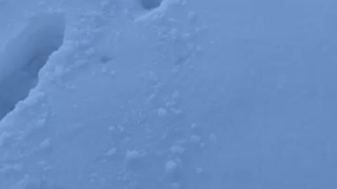 Beauty of an evening