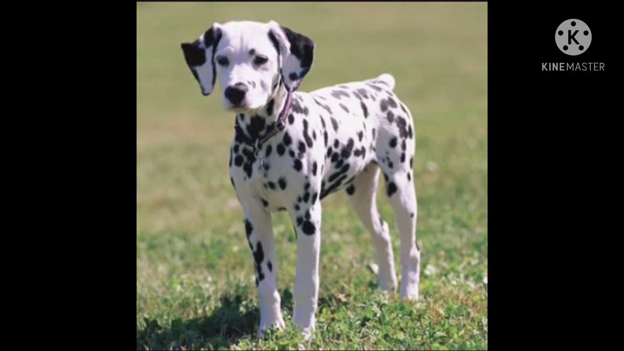 Read the Bible with me. Mark 13.