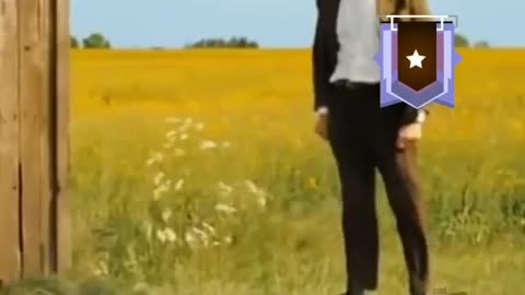 Funny Mr Bean video