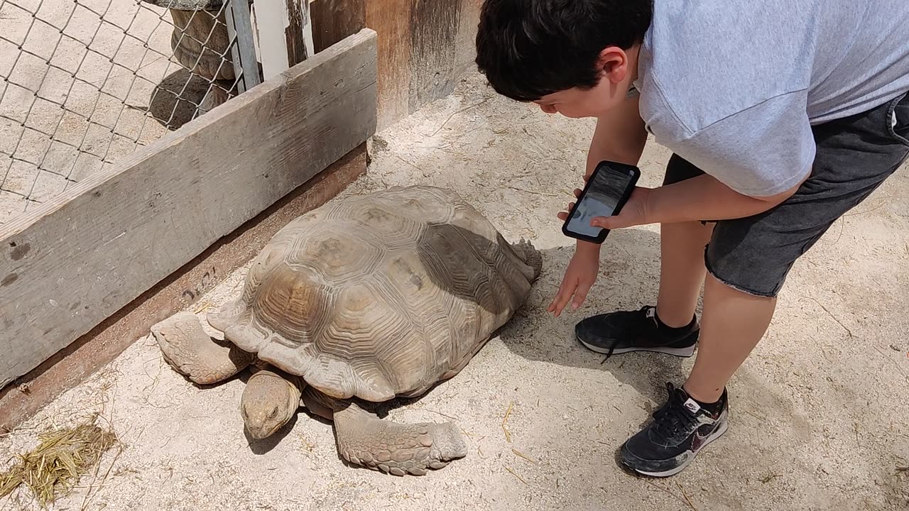 Spencer with Tortoise at HAPPI Farm VID_20220421_121014