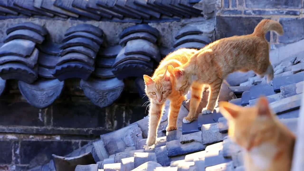 What a sensual picture