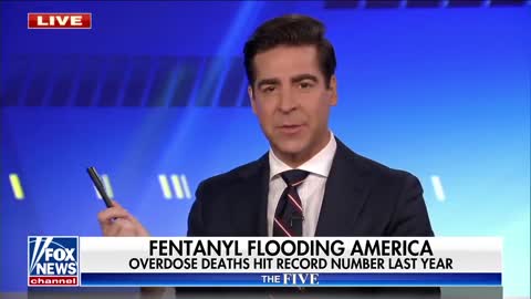 ‘The Five’ react to America's fentanyl crisis