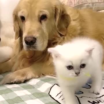 Mom and Dad’s baby.