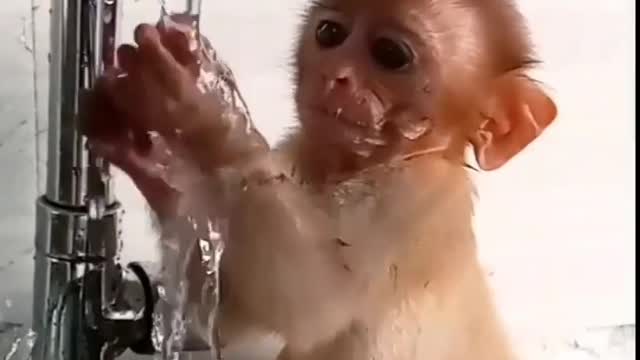 Cute monkey kid playing