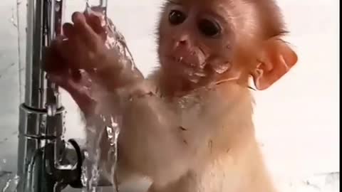 Cute monkey kid playing