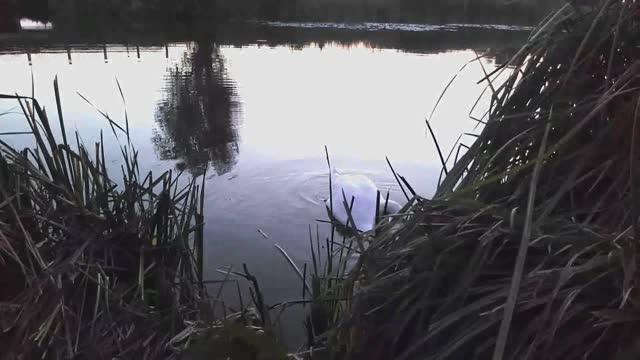 Autumn on the quarry and the river
