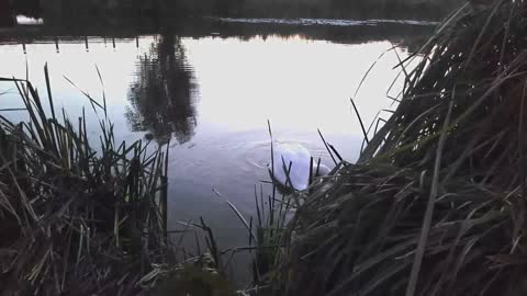 Autumn on the quarry and the river