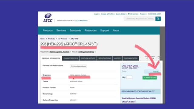 Vaxxinas x Doenças Autoimunes? O que isto tem a ver?