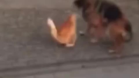 Battle Cat