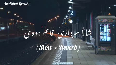 شالا سرداری قائم ہوئی//سرائیکی سونگ