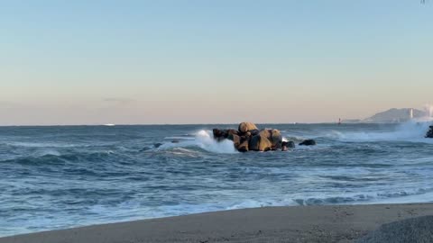 A trip to the sea with family