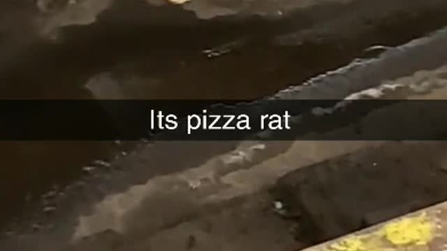 Mouse drags a piece of pizza on subway train tracks, another mouse tries to steal pizza