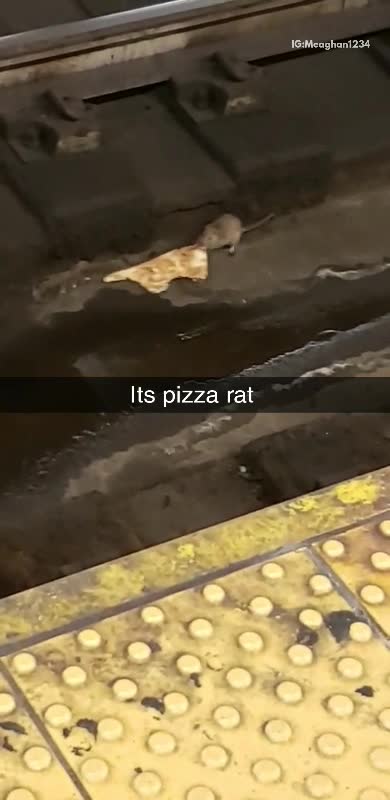 Mouse drags a piece of pizza on subway train tracks, another mouse tries to steal pizza