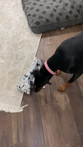 Ellie opening her present