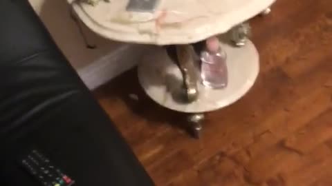 Sweater guy mixes drink shaker and spills it all over furniture