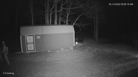 Latham Thieves 1