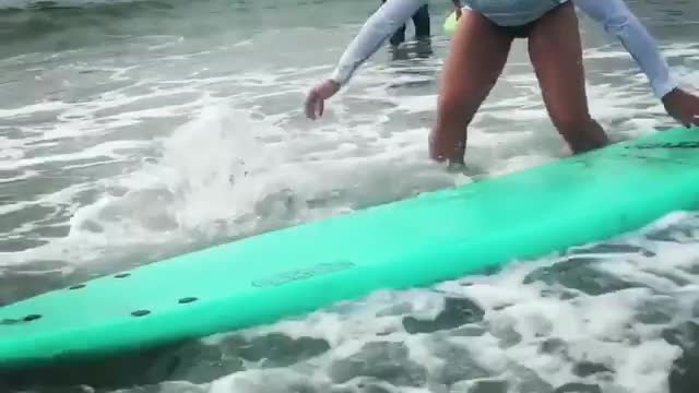 Collab copyright protection - black bulldog teal surfboard fail