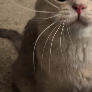 On-site home education