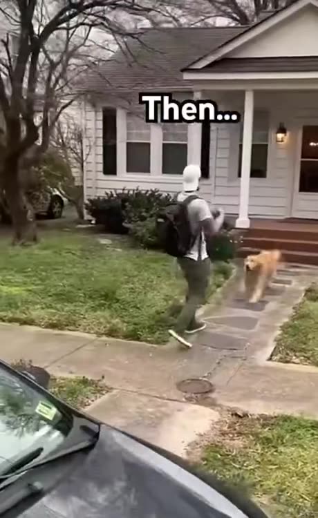 Kiss your pet right now! That's a lawful order!