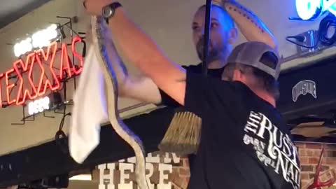 Snake in Ceiling Fan Crashes Wedding Anniversary Party