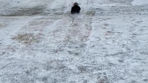 Adult sledding mishap