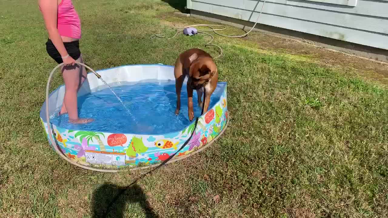 Pup does a spook