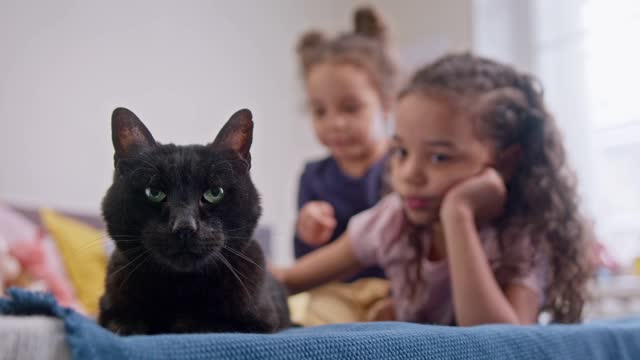 Kids playing with cute cat