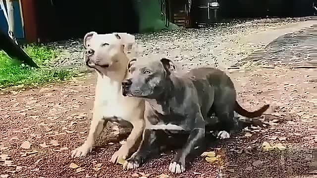 Synchronous movement