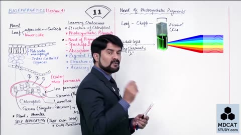 LEC#4 PHOTOSYNTHETIC PIGMENTS