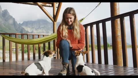 Caucasian couple spending time at home together, playing with dogs