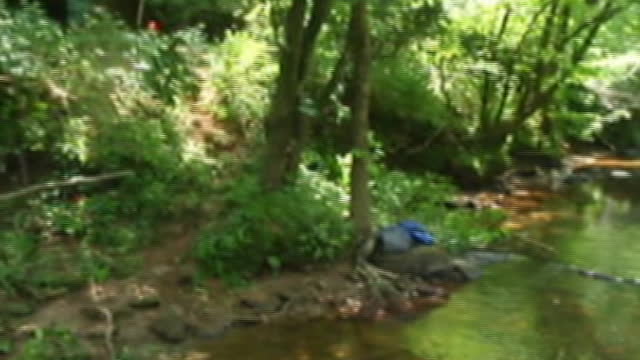 VA Gold On the Creek Slate River June 2008 3