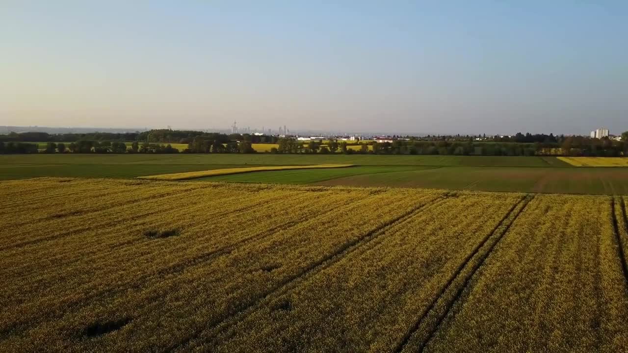 nature lanscape