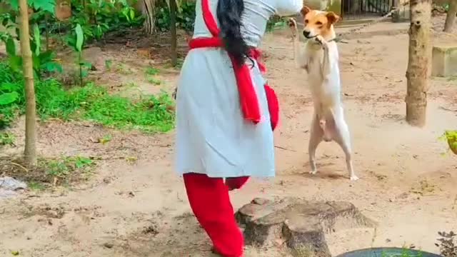 Sri lanka dog dance😁