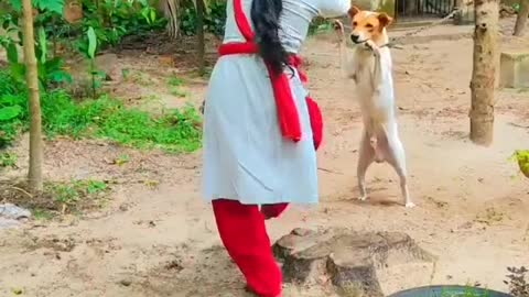 Sri lanka dog dance😁