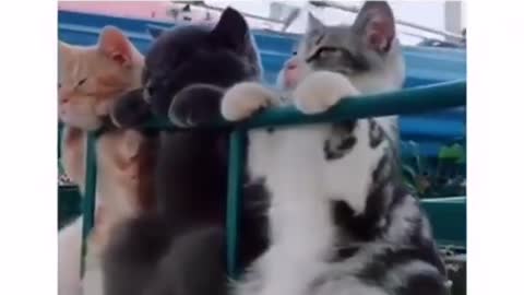 Me and my single friend after seeing a couple