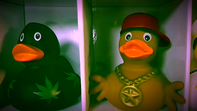 Gangsta duck