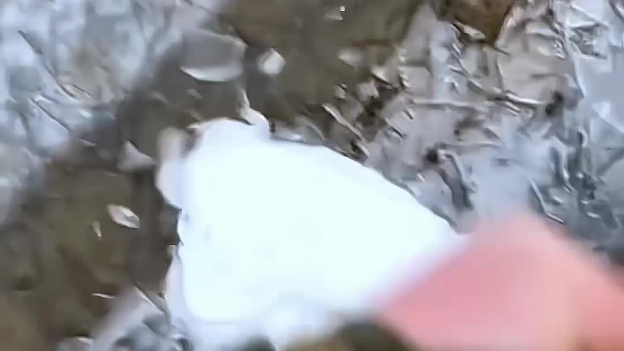 Bird is freezes to death.