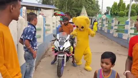 Teddy bear funny video