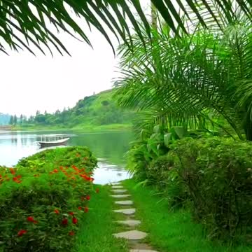 Amazing Nature Beauty Video 😄