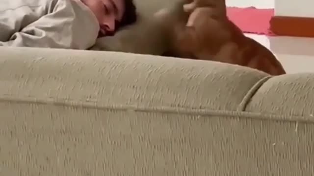 The cat woke him up 😂😂