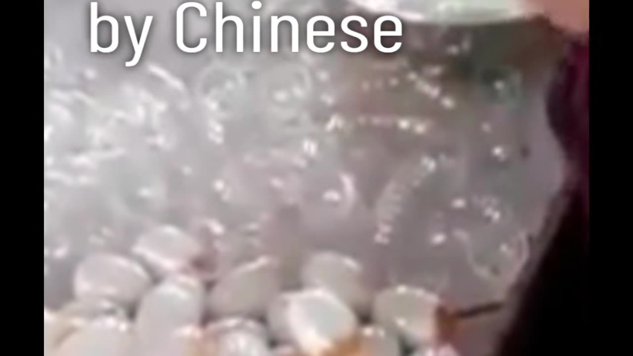 fake eggs in china