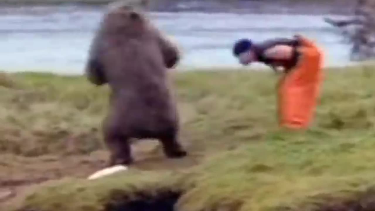 Man vs. Bear - The Ultimate Battle for Survival