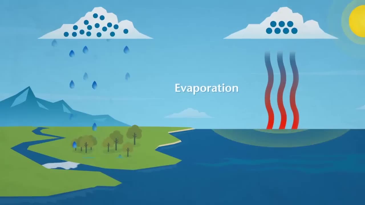 How Does Rain Form? What is the Water Cycle?