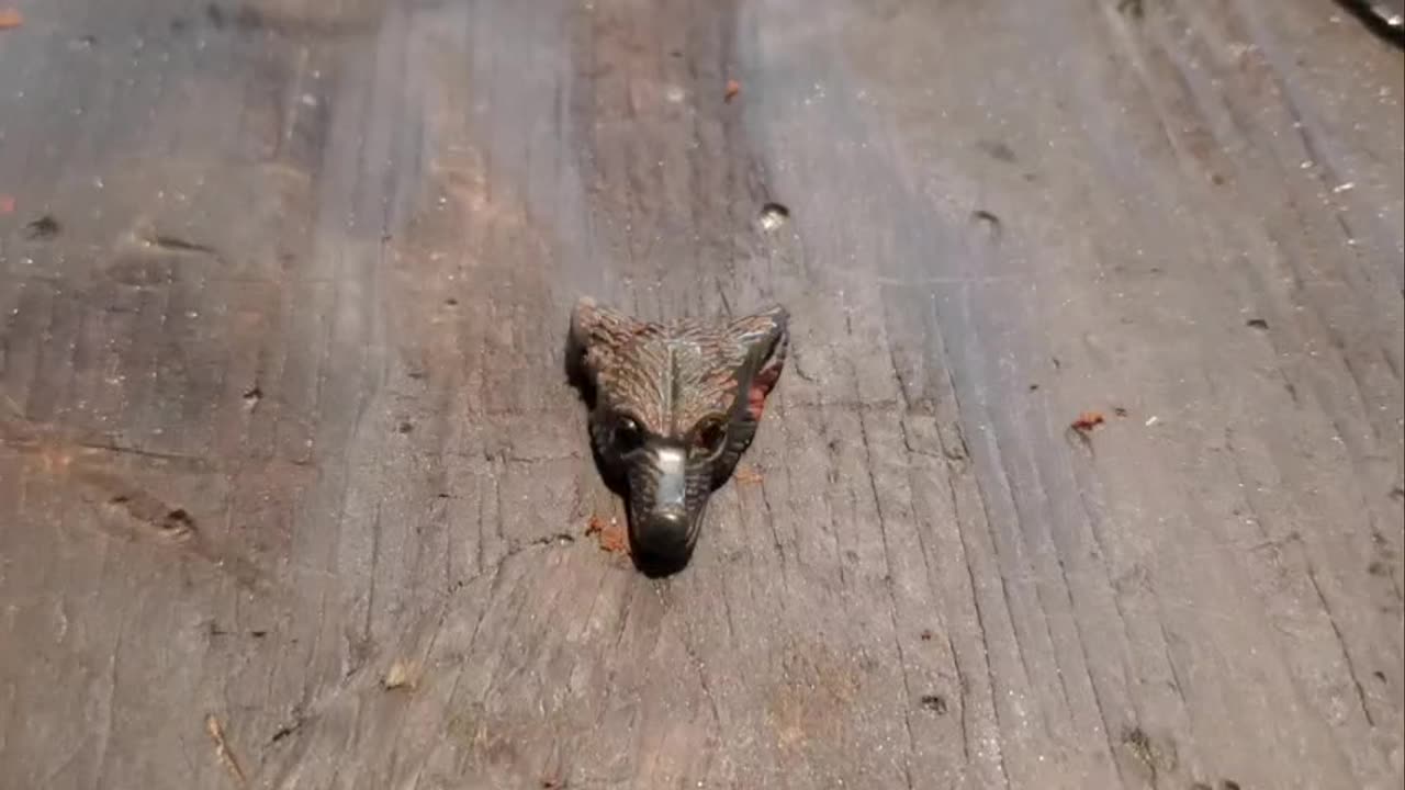 sand casting sterling silver fox head