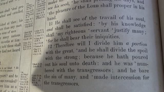 Surely he has born our liniquities
