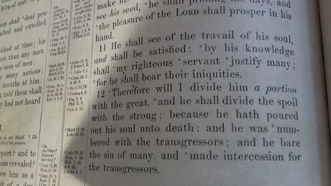Surely he has born our liniquities